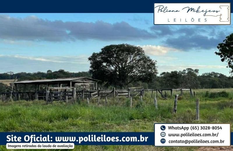 Area Rural em leilão em Rio Verde De Mato Grosso - MS — Gleba de terras, 146ha, 8.635m², remembramento dos lotes "Abora, "Abobora" e "São Domingos", em Rio Verde/MS
