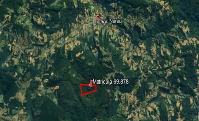 Foto 2 de 7: Area Rural em leilão em Presidente Nereu - SC, bairro Rio Antinha — IMÓVEL RURAL COM ÁREA TOTAL DE 35,000 ha, EM PRESIDENTE NEREU/SC