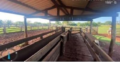 Foto 1 de 8: Area Rural em leilão em Nova Olímpia - MT — IMÓVEL RURAL - "FAZENDA IBIPORÃO I - 140HA, NOVA OLÍMPIA/MT - EXPLORAÇÃO DE PECURÁRIA
