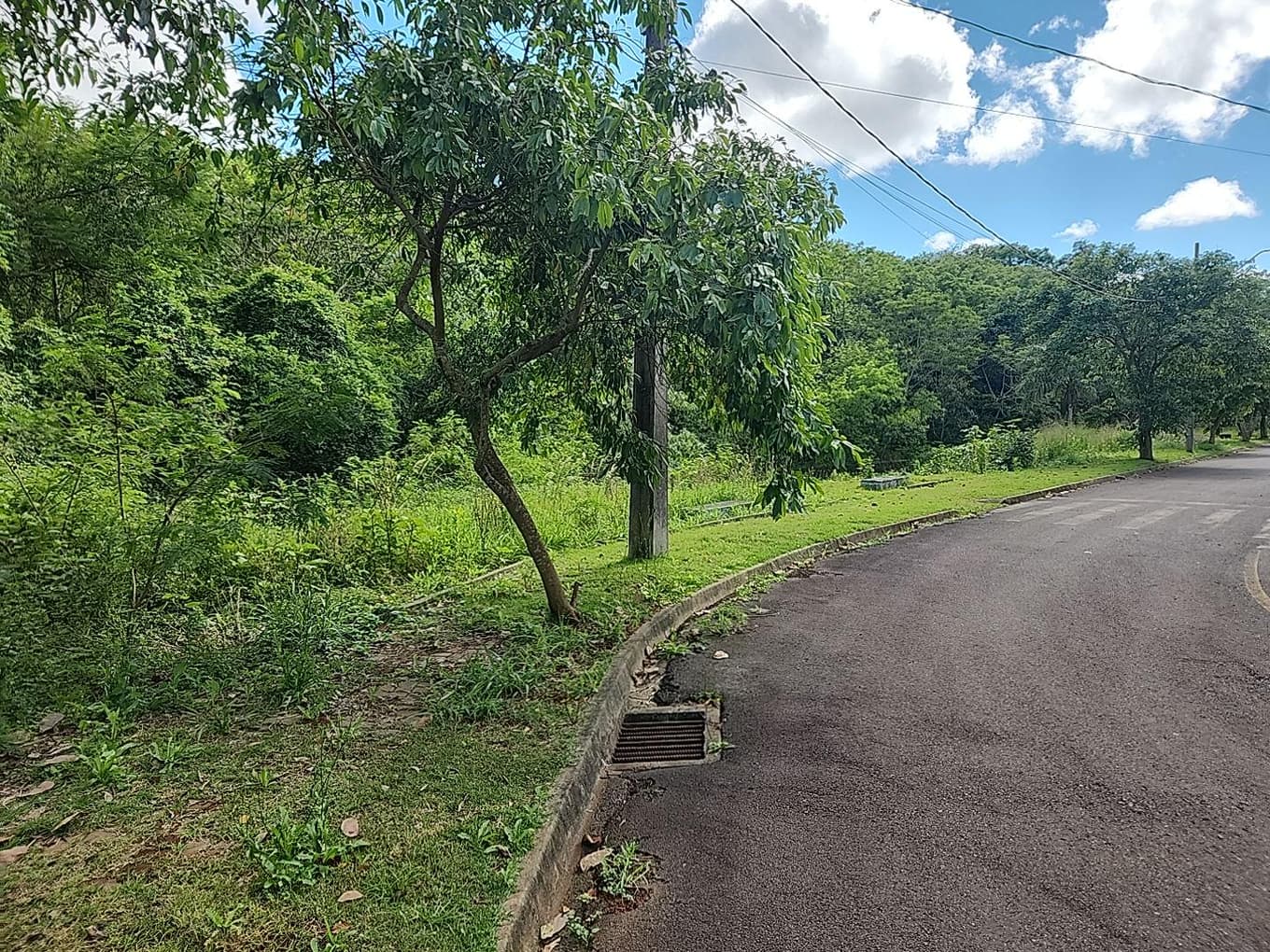 Foto 4 de 4: Terreno em leilão em Dois Vizinhos - PR — LOTE URBANO Nº 04 DA QUADRA Nº 04 LOCALIZADO NO LOTEAMENTO RESIDENCIAL HARMONIA EM DOIS VIZINHOS/PR - ÁREA DE 550,44M²