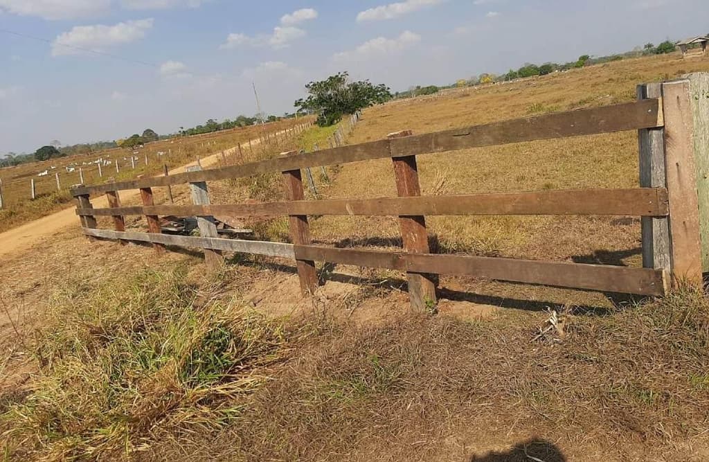 Foto 2 de 7: Area Rural em leilão em Corumbiara - RO — IMÓVEL RURAL | AT. 41,1017 HA E AC 35,7866 | CORUMBIARA/RO