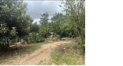 Foto 4 de 10: Area Rural em leilão em Itapeva - SP, bairro Lagoa Seca — (50%) Imóvel Rural, 9,68ha, plantio agrícola, mata nativa, eucalipto, Bairro Lagoa Seca