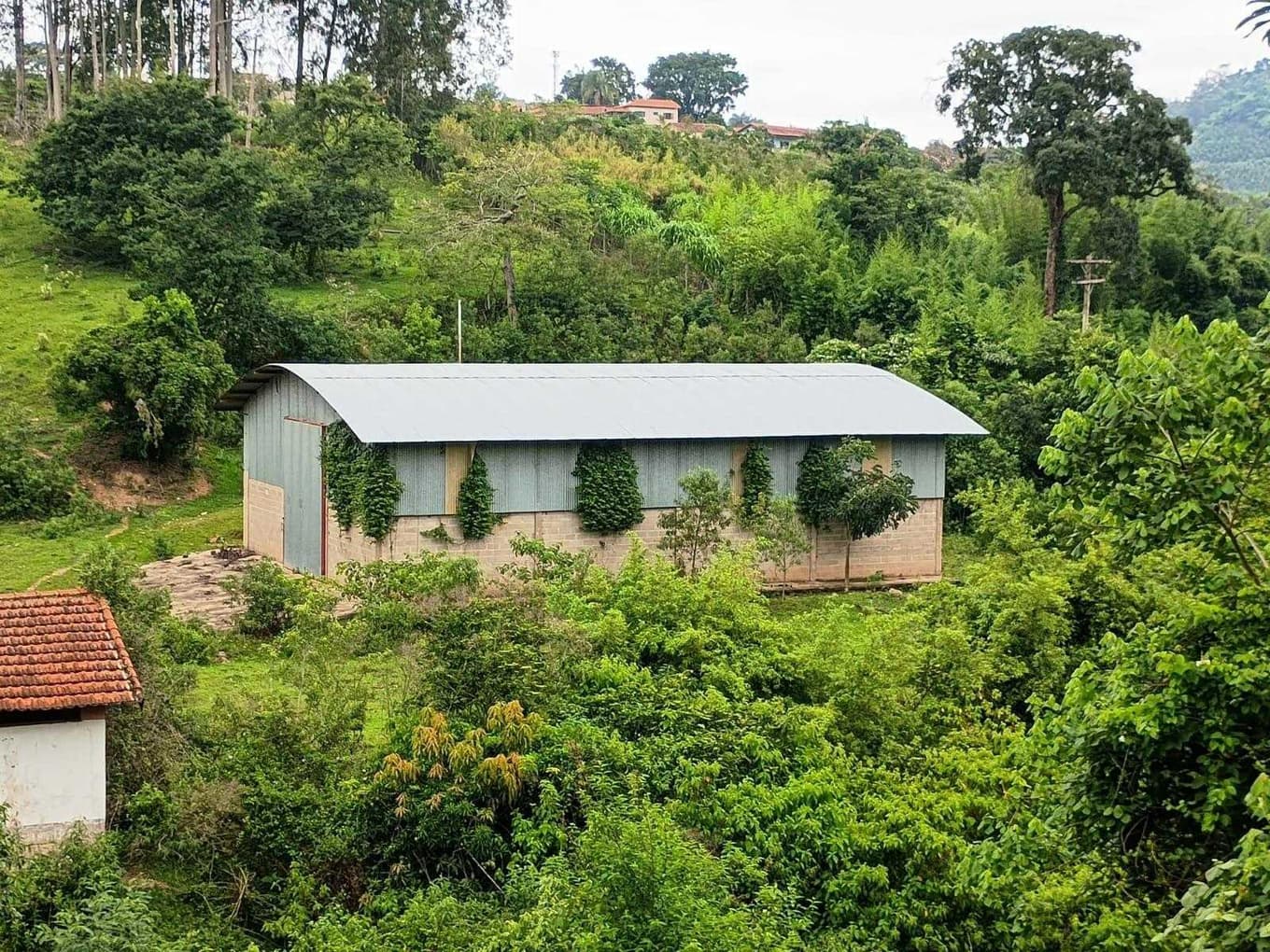 Foto 66 de 70: Area Rural em leilão em Amparo - SP, bairro Três Pontes — Imóvel Rural, A.T. 19ha, A.C. 7.362m², antigo abatedouro, galpões, casas, Três Pontes