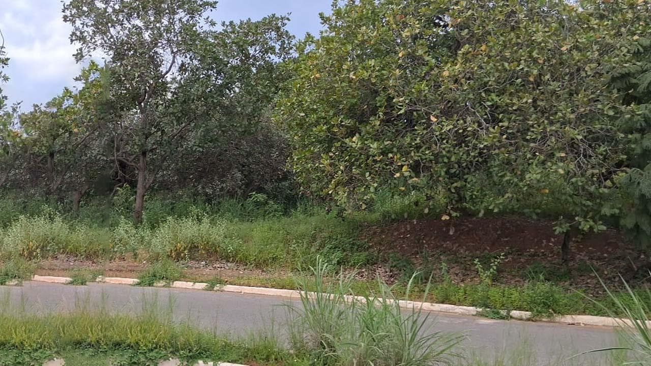 Foto 6 de 9: Terreno em leilão em Minaçu - GO, bairro Vila Residencial de Minaçu — Terreno Urbano 649m² | Vila Residencial de Minaçu - Minaçu/GO |Localização Nobre e Infraestrutura Completa: Ideal para Construção e Investimento!