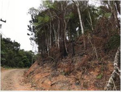 Foto 5 de 6: Terreno em leilão em Taió - SC — TERRENO RURAL com área total de 183,33 m²