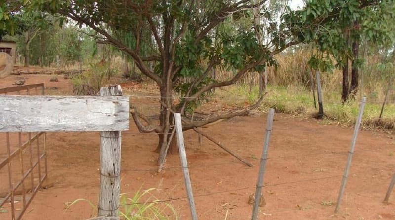 Foto 7 de 7: Area Rural em leilão em Presidente Epitácio - SP — GLEBA DE TERRAS, com a área de 16,1673 has