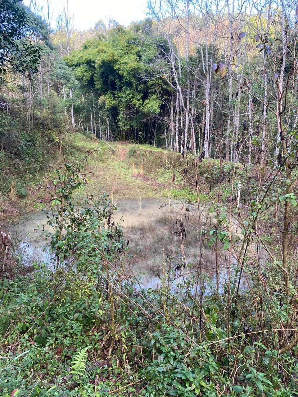 Foto 13 de 23: Terreno em leilão em Concórdia - SC — IMÓVEL RURAL COM ÁREA TOTAL DE 11.005,95m2, EM CONCÓRDIA-SC