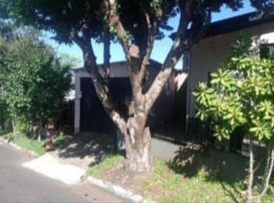 Foto 2 de 3: Casa em leilão em Condor - RS — Casa 300m², Centro, Condor/RS - Ocupada