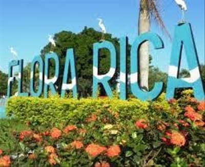 Area Rural em leilão em Flora Rica - SP — 4,76 HÁ (QUATRO HECTARES E SETENTA E SEIS ARES DE TERRAS, LOCALIZADO NO DISTRITO E MUNICÍPIO DE FLORA RICA