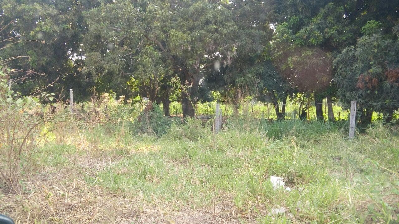 Foto 7 de 18: Terreno em leilão em Cáceres - MT — Terreno com 9.987m², Desocupado no Panorama em Cáceres/MT
