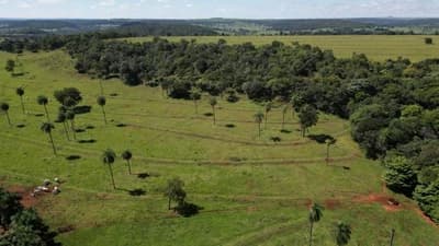 Foto 4 de 5: Area Rural em leilão em Costa Rica - MS — 50% DA PARTE IDEAL DO EXECUTADO SOB IMÓVEL DA MATRÍCULA 21.296 DO REGISTRO DE IMÓVEIS DE COSTA RICA/MS