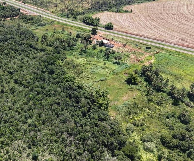 Foto 9 de 11: Area Rural em leilão em Rio Verde - GO — Fazenda, Rio Verde / GO