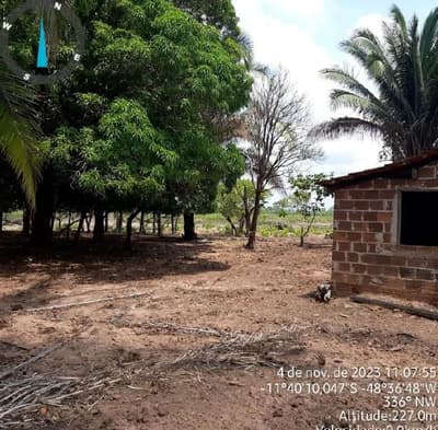 Foto 14 de 17: Area Rural em leilão em Paranã - TO — IMÓVEL RURAL | 1.522,3316 HA | FAZENDA LARGA OU LARGA DO ZÉ JANUÁRIO | PARANÃ/TO.