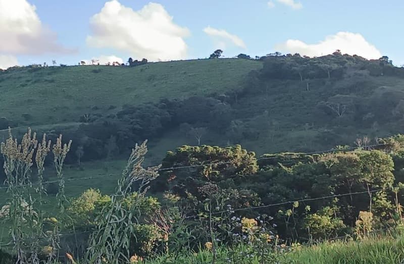 Foto 4 de 6: Area Rural em leilão em Pitanga - PR — IMÓVEL RURAL COM ÁREA DE 72.600,00M2 EM PITANGA -PR