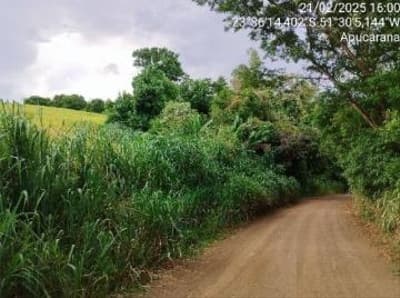 Foto 3 de 5: Area Rural em leilão em Apucarana - PR — IMÓVEL RURAL COM ÁREA TOTAL 49.973,64 m2- Em APUCARANA/PR