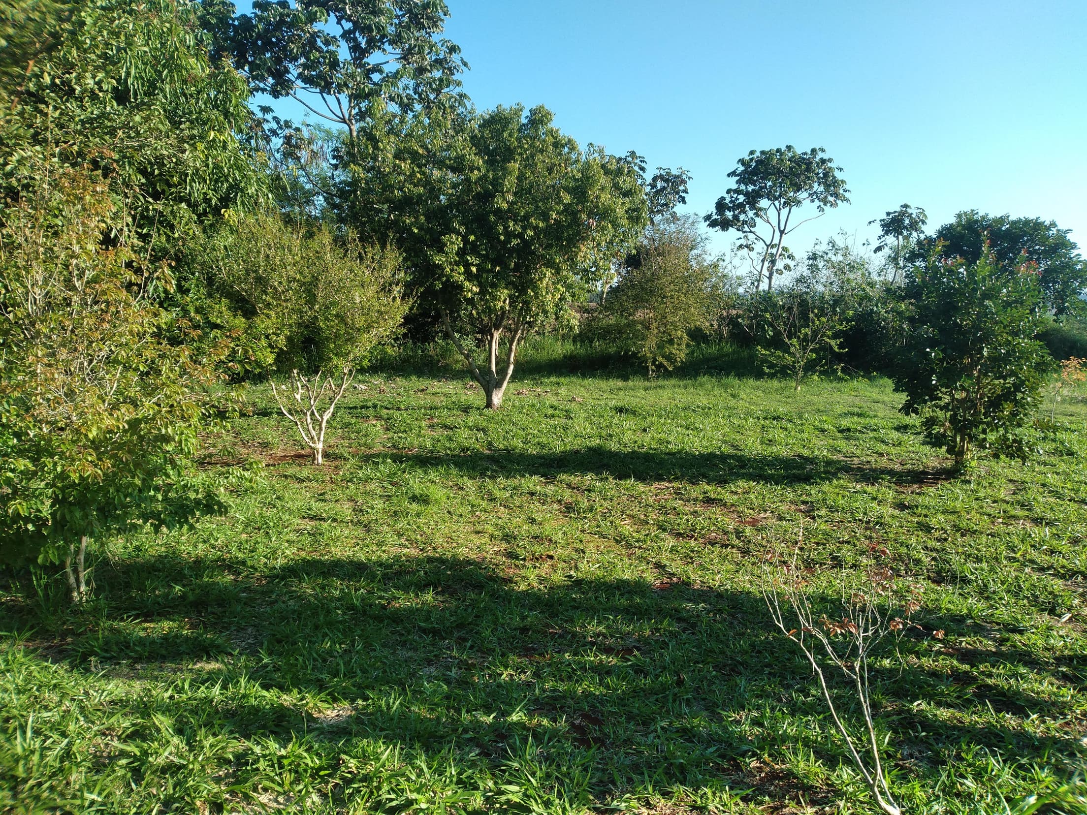Foto 17 de 41: Area Rural em leilão em Capitão Leônidas Marques - PR — Gleba Urbana Desocupada 27.837m2 no Bairro São Gabriel em Capitão Leonidas Marques/PR