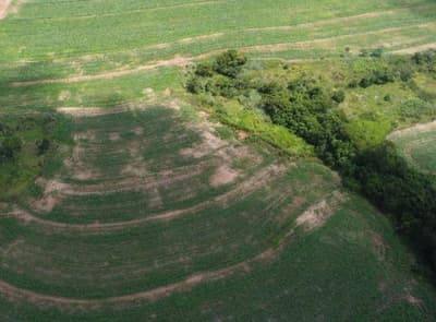 Foto 3 de 6: Area Rural em leilão em Peabiru - PR — IMÓVEL RURAL COM ÁREA DE 242.000 m2- Em PEABIRU/PR