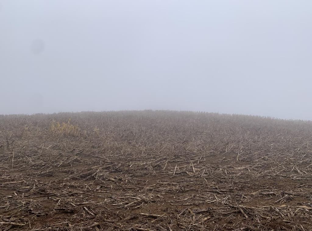 Foto 2 de 12: Area Rural em leilão em Viadutos - RS — IMÓVEL RURAL COM ÁREA TOTAL DE 13,18750 HA EM VIADUTOS-RS