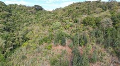 Foto 1 de 11: Area Rural em leilão em Quedas Do Iguaçu - PR, bairro Jardim Alegre — IMÓVEL RURAL COM ÁREA TOTAL DE 11,0255 hectares, EM QUEDAS DO IGUAÇU-PR