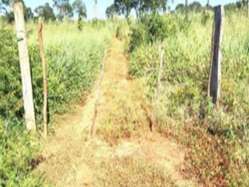 Foto 2 de 3: Area Rural em leilão em Estreito - MA — Area, 14.52 ha, Estreito / MA