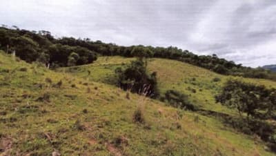 Foto 7 de 15: Area Rural em leilão em Alfredo Wagner - SC, bairro Interior — IMÓVEL RURAL COM ÁREA SUPERFICIAL DE 36.264,00m², EM ALFREDO WAGNER/SC