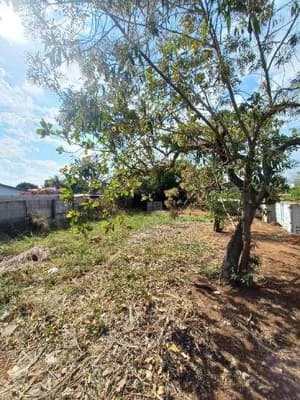 Foto 1 de 6: Terreno em leilão em Saltinho - SP — PARTE IDEAL DE 50% DO LOTE URBANO Nº 01 DO LOTEAMENTO JARDIM NOSSA SENHORA APARECIDA II CORRESPONDENTE A 392,00M² SEM BENFEITORIAS ¿ SALTINHO/SP