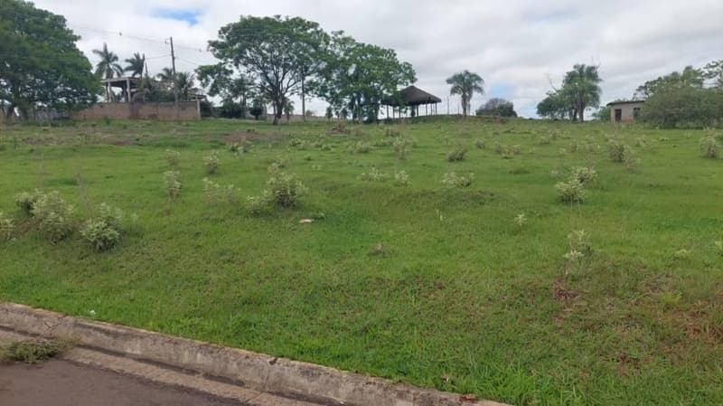 Foto 2 de 8: Terreno em leilão em Pérola - PR — Lote 597m² | Pérola-PR | Parque Residencial Viva - Amplo Terreno com Excelente Topografia - Somente à Vista!