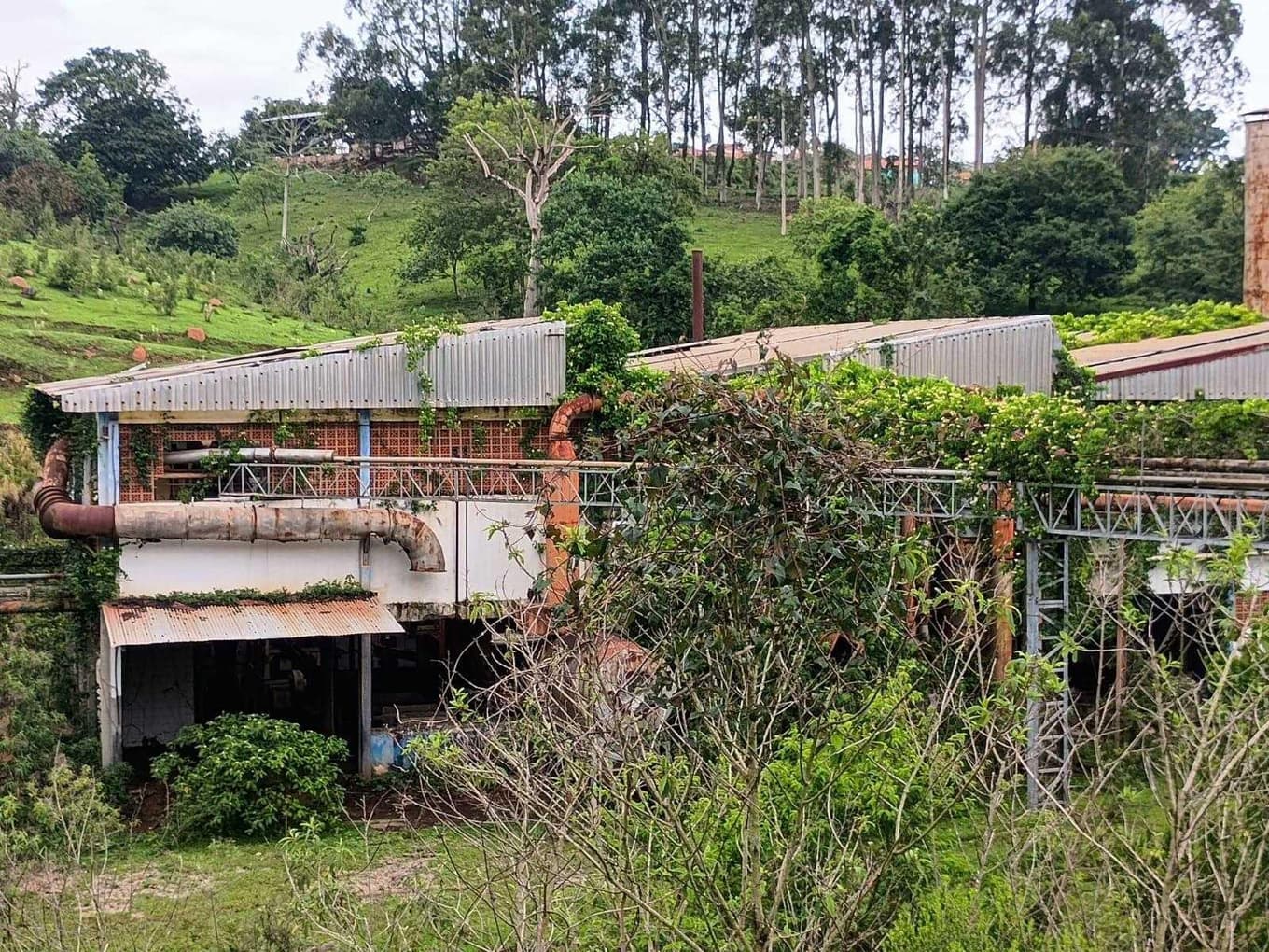 Foto 60 de 70: Area Rural em leilão em Amparo - SP, bairro Três Pontes — Imóvel Rural, A.T. 19ha, A.C. 7.362m², antigo abatedouro, galpões, casas, Três Pontes
