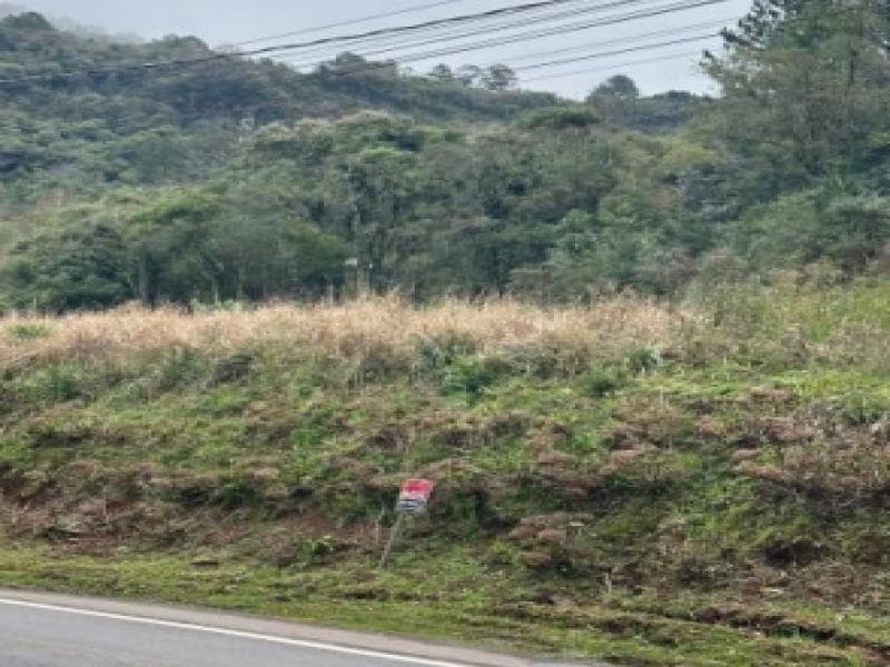 Foto 8 de 12: Terreno em leilão em Gramado - RS, bairro Várzea Grande — Lote, 4082.96 m2, Gramado / RS