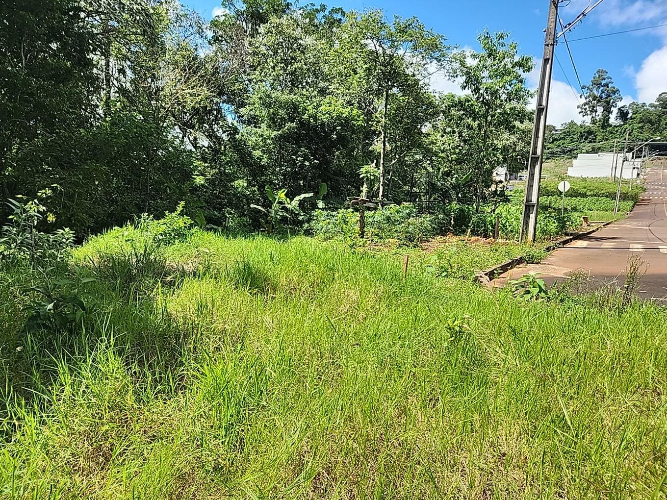 Foto 1 de 3: Terreno em leilão em Dois Vizinhos - PR — LOTE URBANO Nº 05 DA QUADRA Nº 10 LOCALIZADO NO LOTEAMENTO REALIZE I EM DOIS VIZINHOS/PR - ÁREA DE 737,37M²