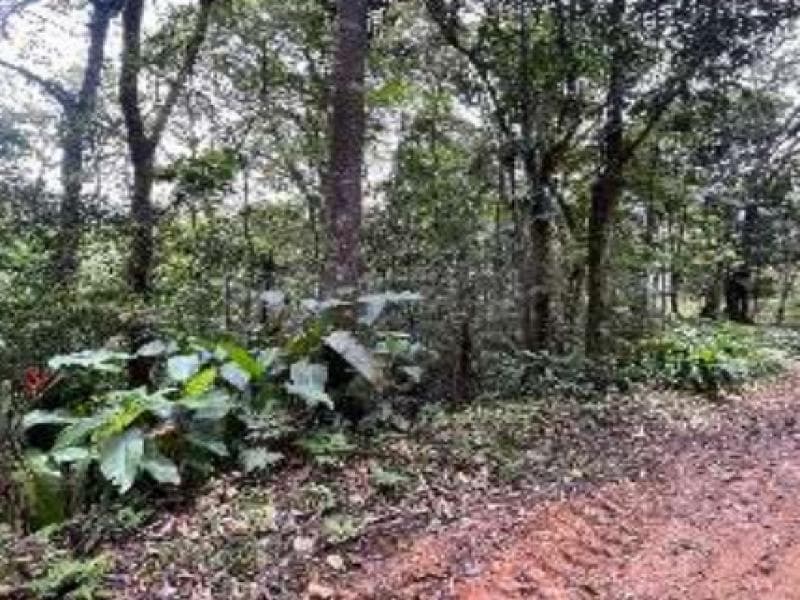 Foto 1 de 7: Terreno em leilão em Blumenau - SC, bairro Progresso — Lote, 45.38 ha, Blumenau / SC