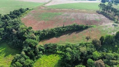 Foto 2 de 9: Area Rural em leilão em Nova Prata Do Iguaçu - PR — IMÓVEL RURAL COM ÁREA TOTAL DE 20.000,00 m² - NOVA PRATA DO IGUAÇU/PR