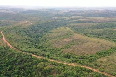 Foto 3 de 8: Area Rural em leilão em Formiga - MG — FAZENDA "GUAXUPE" EM FORMIGA/MG.