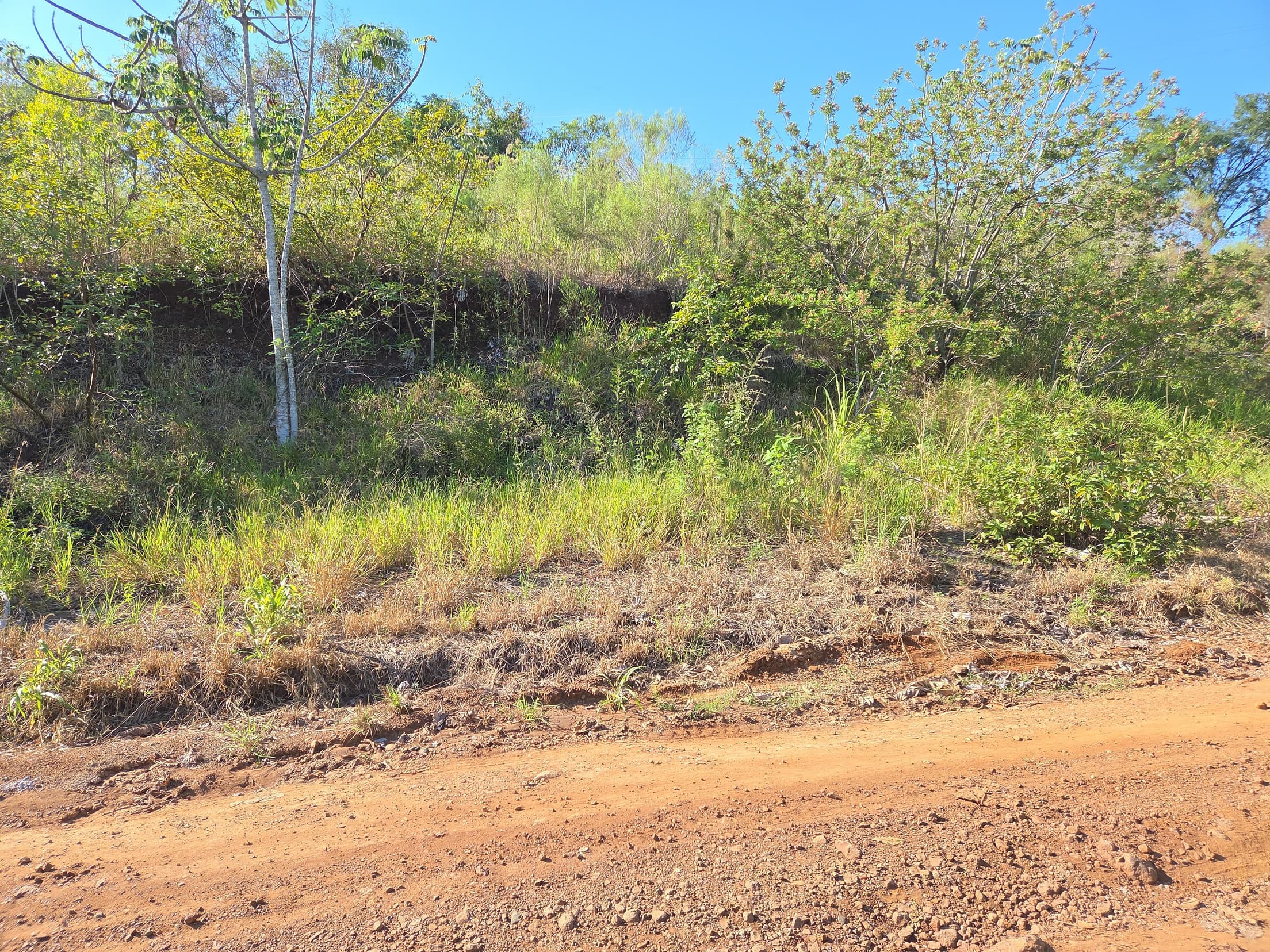 Foto 2 de 4: Terreno em leilão em Nova Prata Do Iguaçu - PR, bairro Distrito Turístico — LOTE URBANO Nº 07, QUADRA Nº 12 DO LOTEAMENTO ESTRELA DOURADA DO MUNICÍPIO DE NOVA PRATA DO IGUAÇU/PR ÁREA DE 450M²