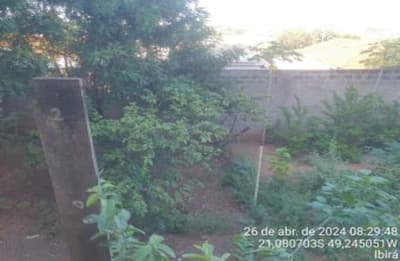 Foto 8 de 19: Comercial em leilão em Ibirá - SP — Galpão, A.T. 1.452m², A.C. 1.166m²