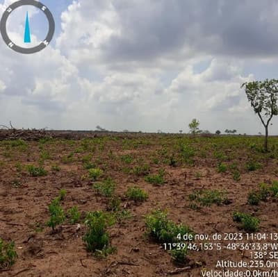 Foto 12 de 17: Area Rural em leilão em Paranã - TO — IMÓVEL RURAL | 1.522,3316 HA | FAZENDA LARGA OU LARGA DO ZÉ JANUÁRIO | PARANÃ/TO.