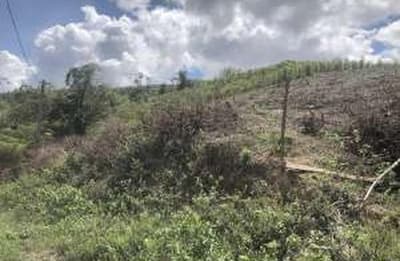 Foto 10 de 14: Area Rural em leilão em Caconde - SP — Sítio, A.T. 9,9500ha