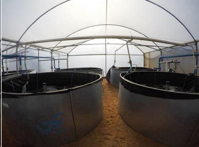 Foto 12 de 13: Area Rural em leilão em São Simão - SP — Sítio com ESTRUTURA 100% PRONTA para AQUICULTURA - com 5,5 Alqueires à 3km de São Simão e 40km de Ribeirão Preto/SP