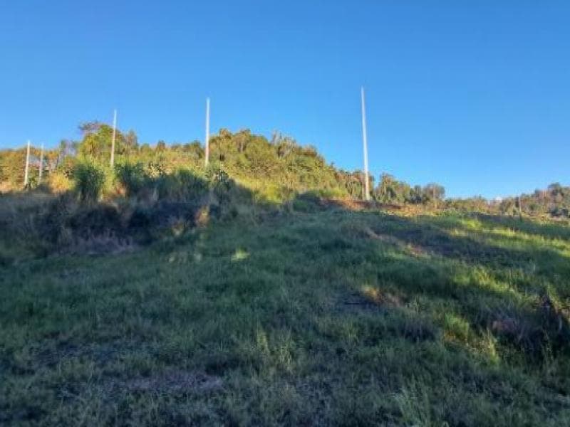 Foto 4 de 7: Terreno em leilão em Cordilheira Alta - SC, bairro Interior — Lote, 337.06 m2, Cordilheira Alta / SC