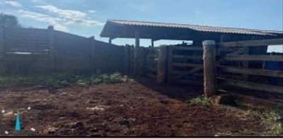 Foto 2 de 8: Area Rural em leilão em Nova Olímpia - MT — IMÓVEL RURAL - "FAZENDA IBIPORÃO I - 140HA, NOVA OLÍMPIA/MT - EXPLORAÇÃO DE PECURÁRIA