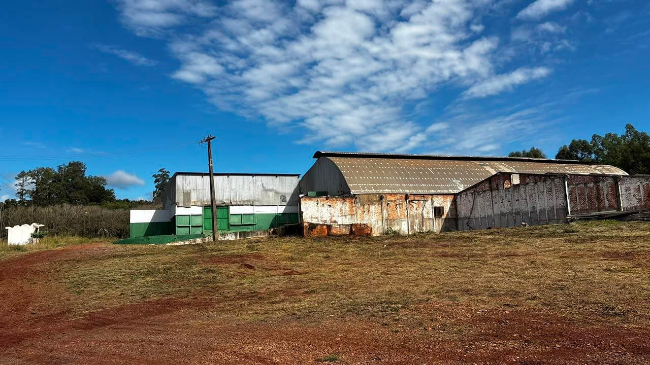 Foto 15 de 17: Area Rural em leilão em Toledo - PR — IMÓVEL CHACARA N°37-A E 37-B COM AREA DE 84.360 m² - TOLEDO/PR