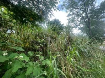Terreno em leilão em Vitória - ES — Lote de terreno, A.T. 640m², Ilha do Boi