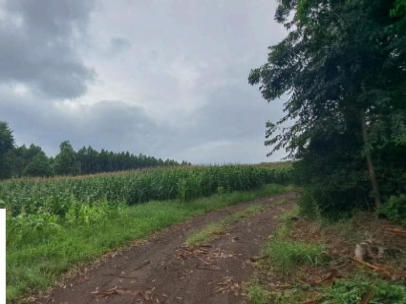 Foto 1 de 4: Terreno em leilão em Chapecó - SC, bairro Alto da Serra — Lote, 42852.48 m2, Chapecó / SC