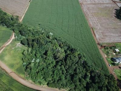 Foto 2 de 3: Area Rural em leilão em Quedas Do Iguaçu - PR — Fração ideal de 45% do LOTE Nº 175-A, com a área de 8,9379HA, Quedas do Iguaçu/PR