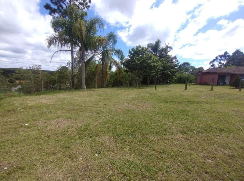 Foto 5 de 11: Area Rural em leilão em Timbó Grande - SC, bairro Interior — IMÓVEL RURAL COM ÁREA TOTAL DE 8,8804 hectares EM TIMBÓ GRANDE-SC