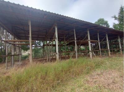 Foto 4 de 7: Terreno em leilão em Frei Rogério - SC — IMÓVEL RURAL COM ÁREA TOTAL DE 5,3285450 HA - FREI ROGERIO/SC