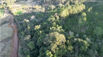 Foto 11 de 16: Area Rural em leilão em Quedas Do Iguaçu - PR — IMÓVEIS RURAIS VENDA CONJUNTA DE DUAS MATRÍCULAS- Em QUEDAS DO IGUAÇU/PR