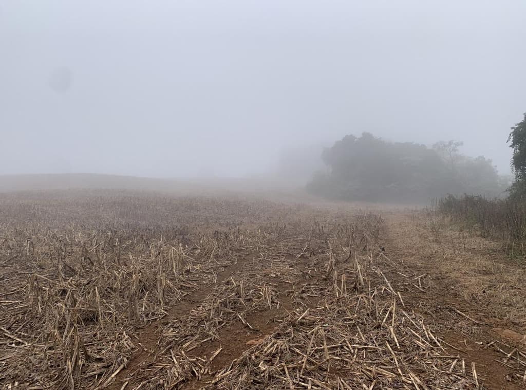 Foto 4 de 12: Area Rural em leilão em Viadutos - RS — IMÓVEL RURAL COM ÁREA TOTAL DE 13,18750 HA EM VIADUTOS-RS