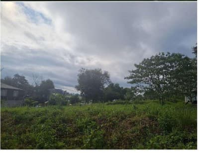 Foto 15 de 23: Area Rural em leilão em Francisco Beltrão - PR, bairro São Miguel — Parte ideal correspondente a 19.150,00 , contendo uma área superficial de 94.839,10m² - Colônia Missões, Francisco Beltrão/PR