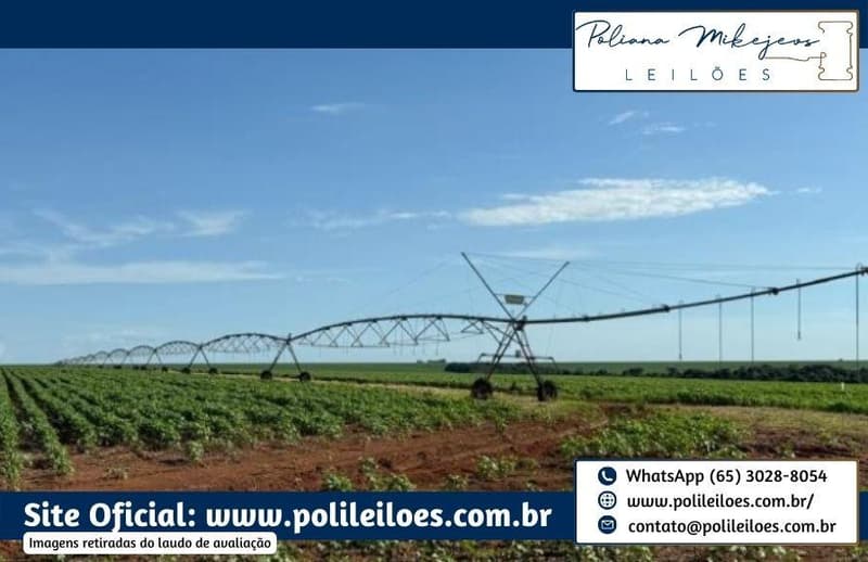 Foto 14 de 14: Area Rural em leilão em Sorriso - MT — Área Rural, Fração Ideal 181,5ha, AT. 363ha, denominada Dal Bosco, Fazenda Rondinha I, Lote Primavera, em Sorriso/MT